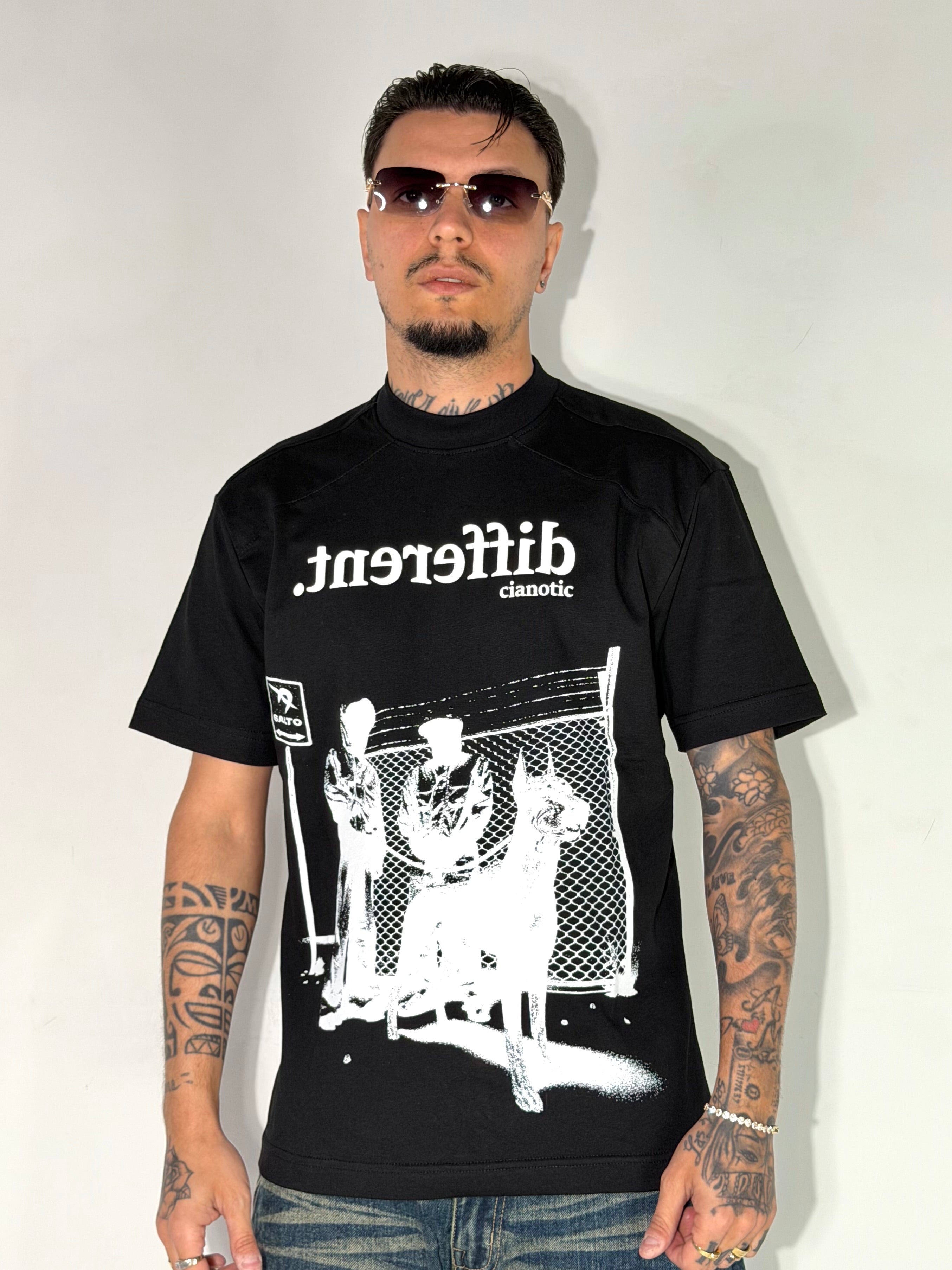 T-SHIRT DIFFERENT CNT 2 COLORI